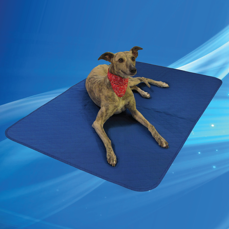 personalised dog grooming apron