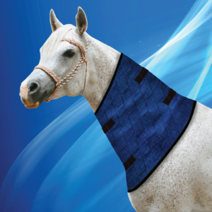 Aqua Coolkeeper for Horses Neckcooler Pacific Blue