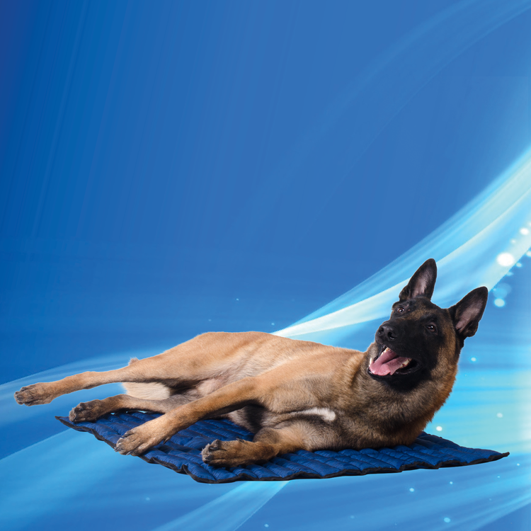 Aqua Coolkeeper Cooling Mat Aqua Coolkeeper