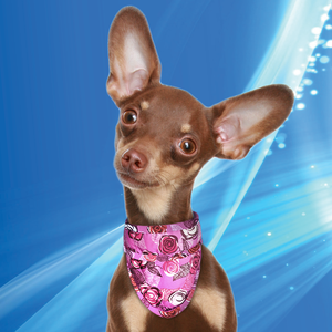 Aqua Coolkeeper cooling Pet Bandana