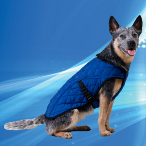 Aqua Coolkeeper Cooling Pet Jacket Pacific Blue