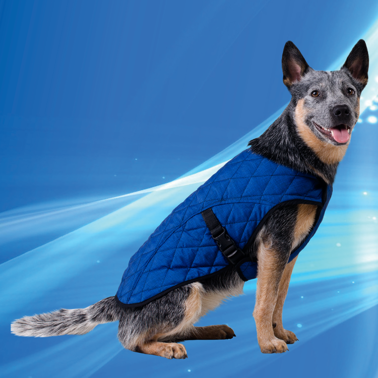 Aqua Coolkeeper Cooling Pet Jacket | Aqua Coolkeeper®