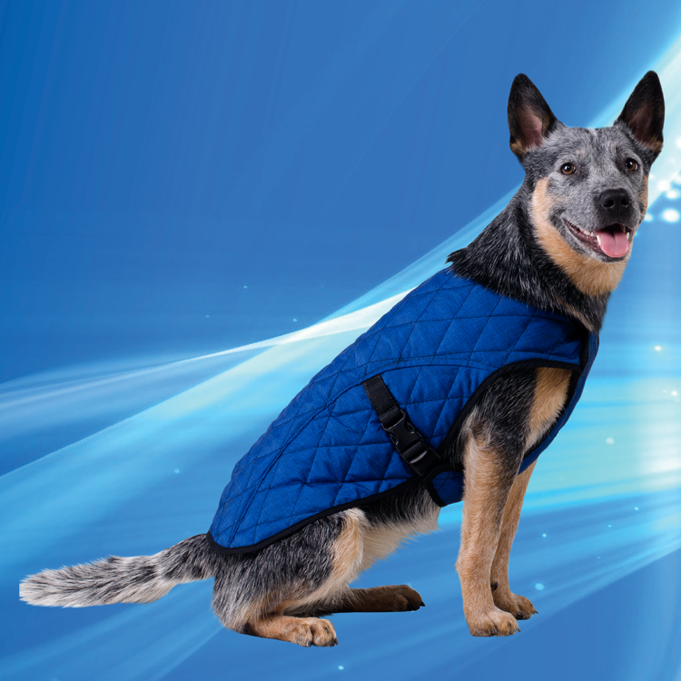 Aqua Coolkeeper Cooling Pet Jacket Pacific Blue