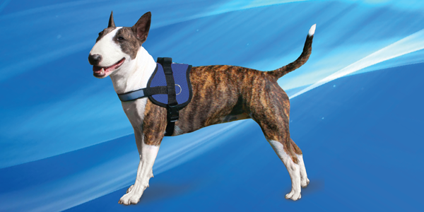 Aqua Coolkeeper cooling Survival Harness