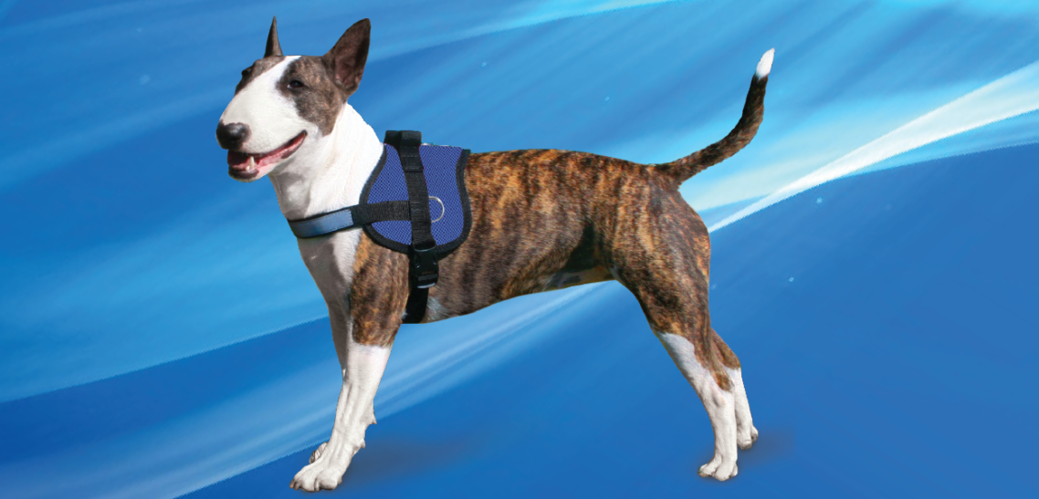 NEW PRODUCT : Cooling Survival Harness