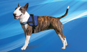 NEW PRODUCT : Cooling Survival Harness