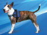 NEW PRODUCT : Cooling Survival Harness